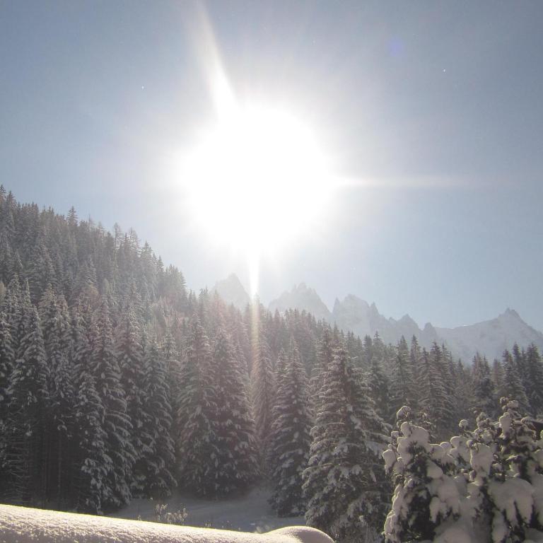 Beausoleil Bed & Breakfast Chamonix Rom bilde